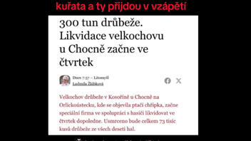 Fact Check: Bird Flu Outbreak In Czech Republic Is NOT Illicit Scheme To Introduce US Chicken To Czech Market