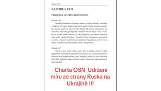 Fact Check: Articles 106, 107 Of UN Charter Do NOT Allow Russia To Attack Ukraine