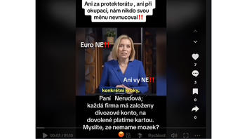 Fact Check: Paying By Cards Or Having Euro Currency Accounts Does NOT Protect Czech Citizens And Companies From Transactional Costs