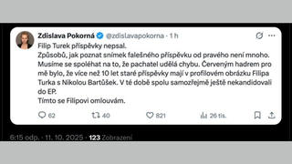 Fact Check: Novinářka Deníku N se na sociálních sítích NEOMLUVILA za článek, který odhalil urážlivé posty připisované Filipu Turkovi