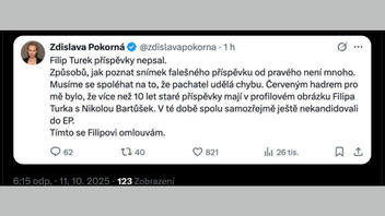 Fact Check: Novinářka Deníku N se na sociálních sítích NEOMLUVILA za článek, který odhalil urážlivé posty připisované Filipu Turkovi