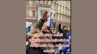 Fact Check: ZFALŠOVANÁ fotografie ukazuje hajlujícího Víta Rakušana -- byla upravena AI