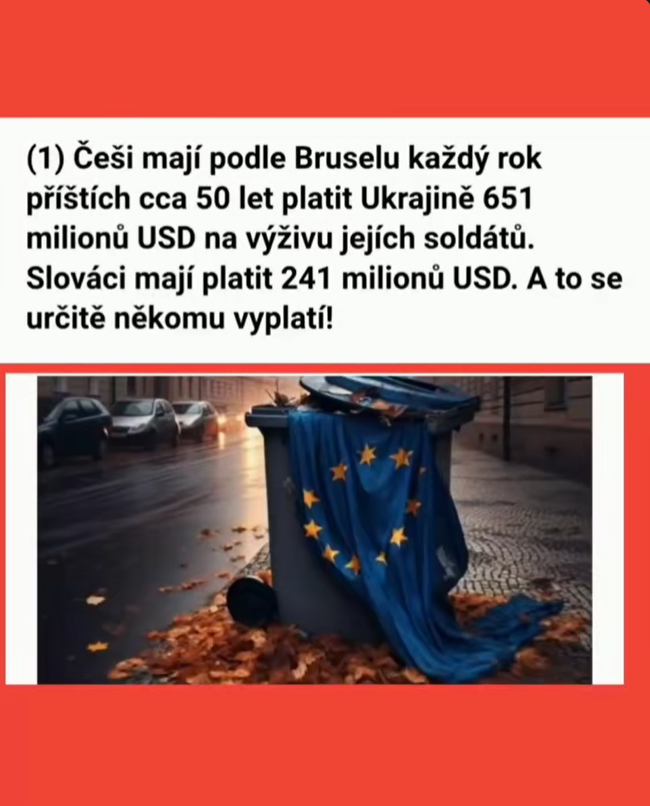 Snímek obrazovky 2025-12-22 084400.png